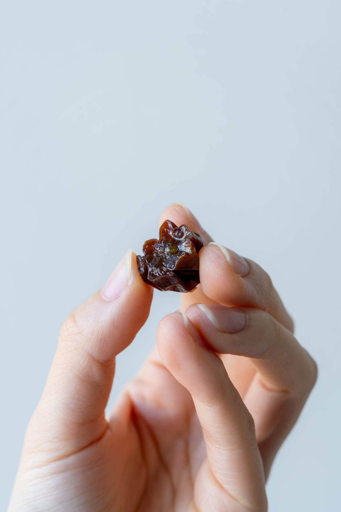【Royal Raisin】 クイーンルージュ 信州松本山辺産100g