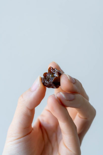 【Royal Raisin】 クイーンルージュ 信州松本山辺産１００g